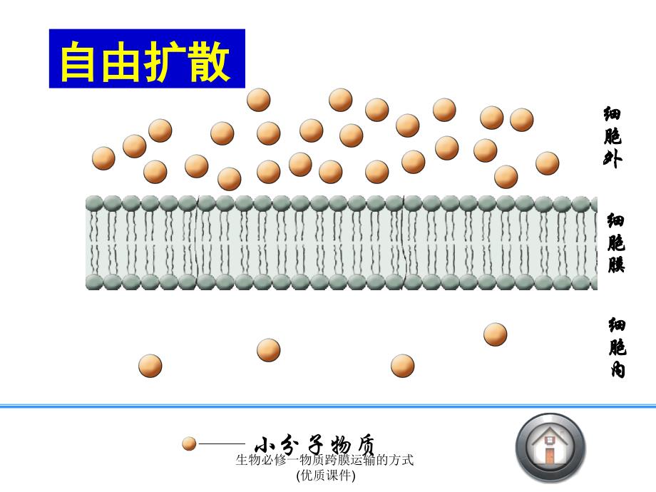 生物必修一物质跨膜运输的方式优质课件_第3页