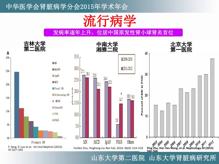 膜性肾病诊治进展_第3页