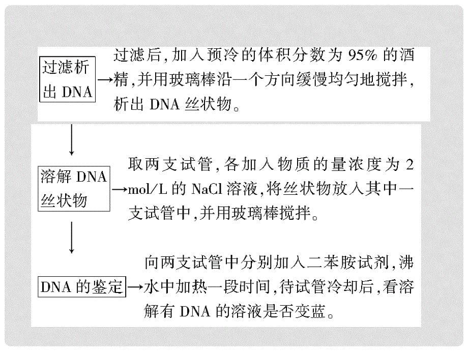 高三生物 实验专项突破31 DNA的粗提取与鉴定 新人教版 课件_第5页