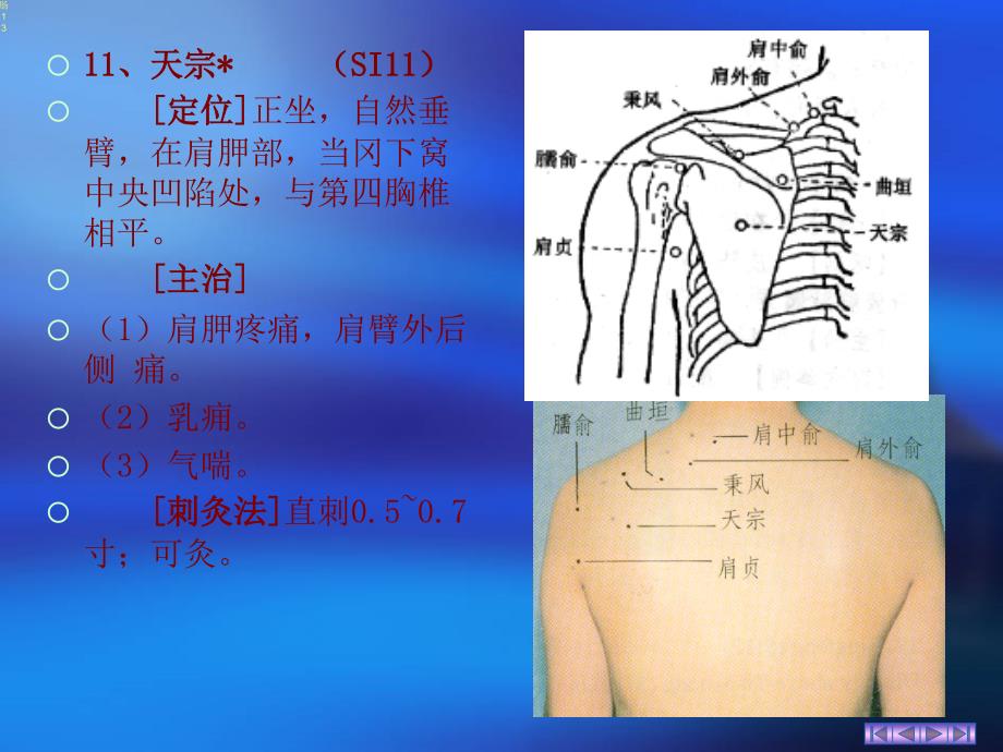 腰背部重点腧穴_第1页