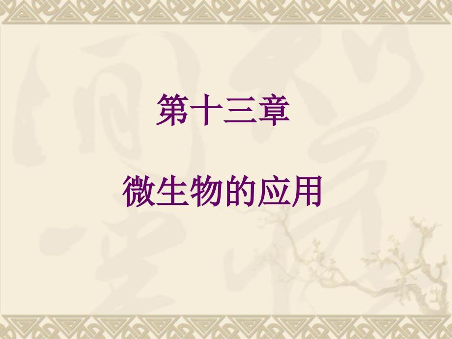 微生物学课件第十三章微生物的应用