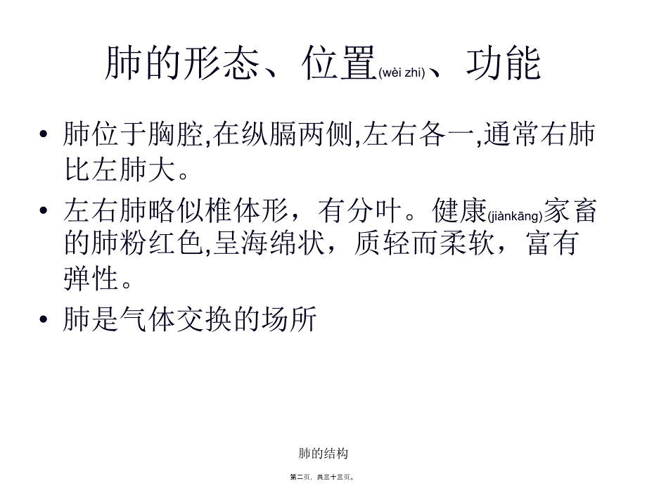 肺的结构课件_第2页