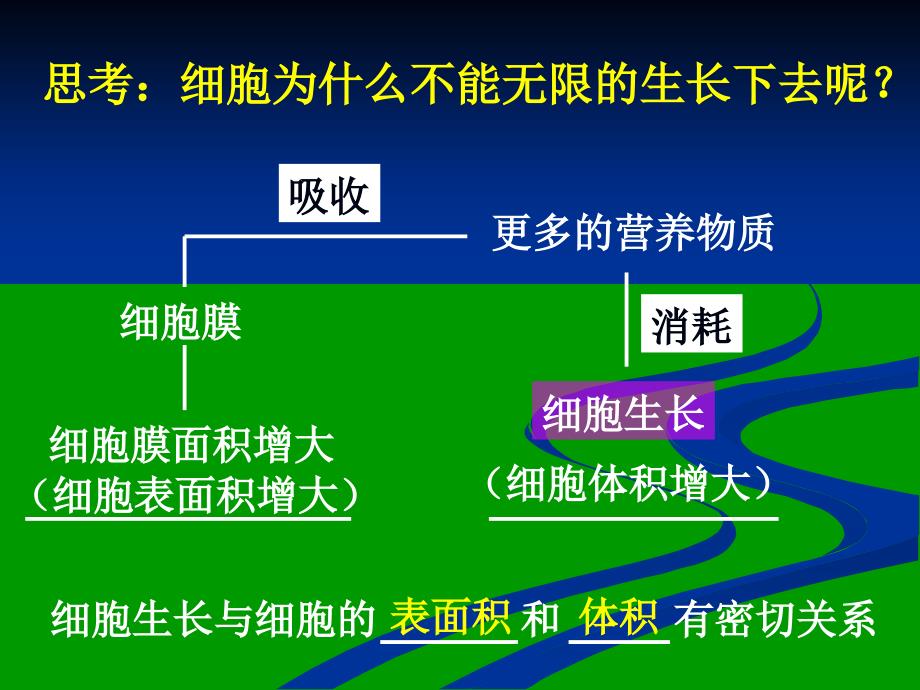 细胞的分裂_第2页