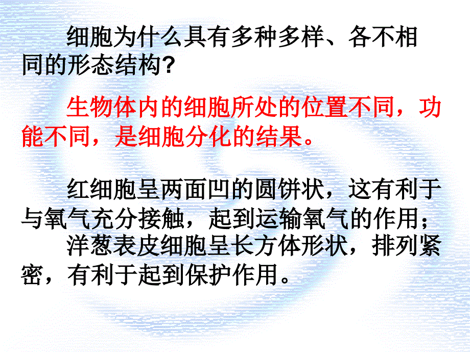 细胞的多样性和统一性（一）显微镜的使用_第4页