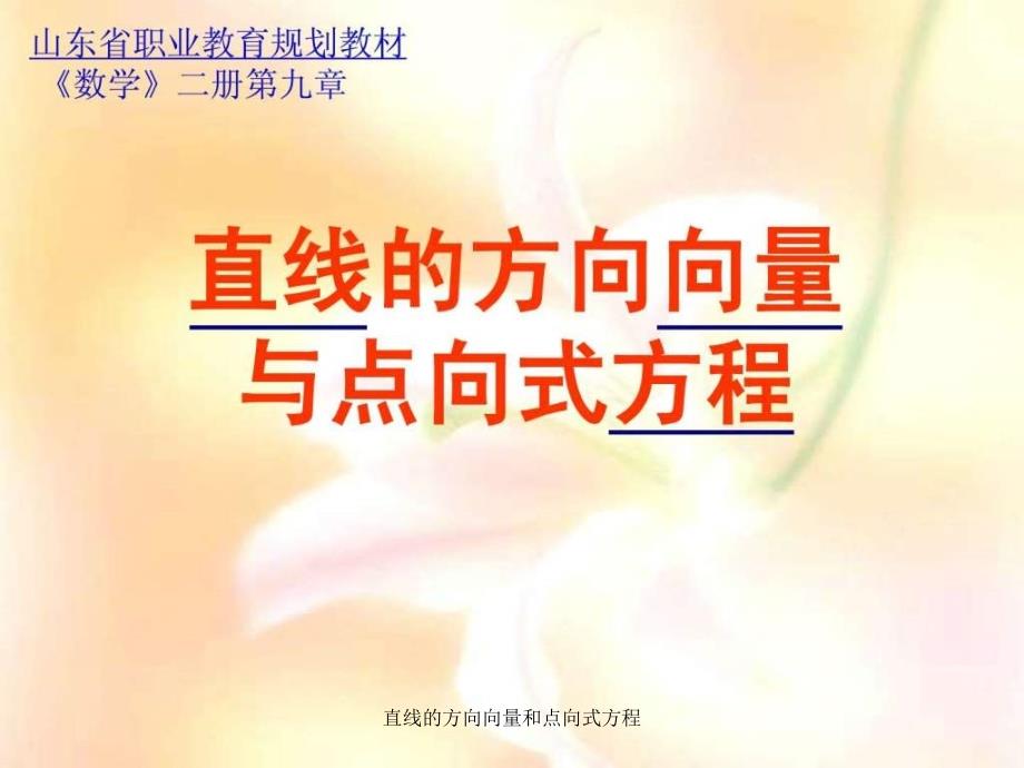 直线的方向向量和点向式方程课件_第1页