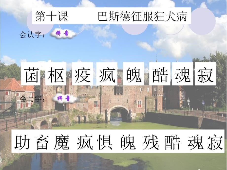 巴斯德征服狂犬病.ppt_第5页