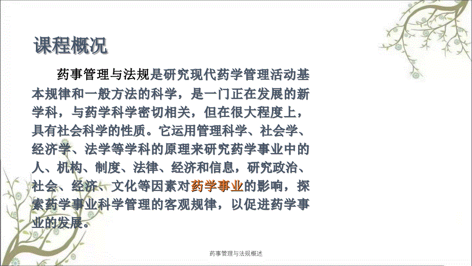 药事管理与法规概述_第2页