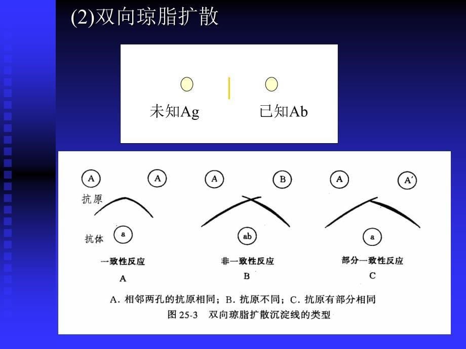 实验三沉淀反应课件_第5页