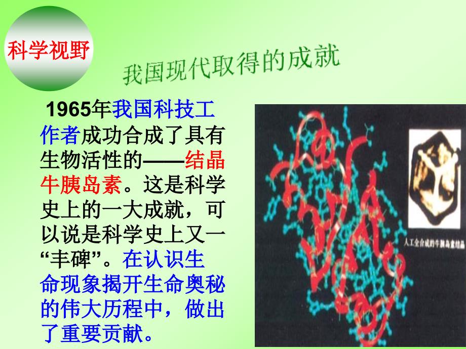 高二化学选修5第四章第三节蛋白质和核酸共2课时课件_第3页