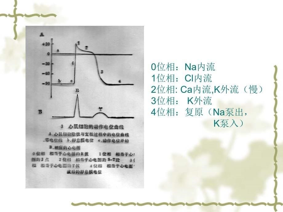 7年制心电图诊断学_第5页