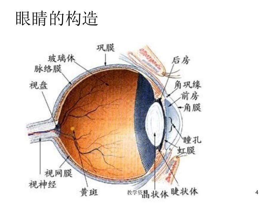 保护我们的眼睛ppt基础教学_第4页