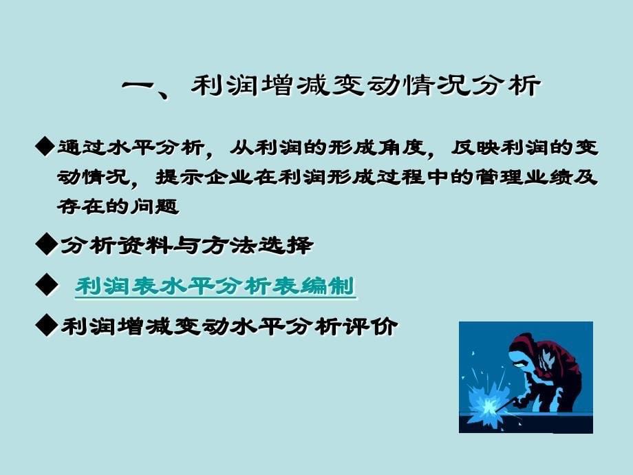 利润表和现金流量表分析含案例_第5页