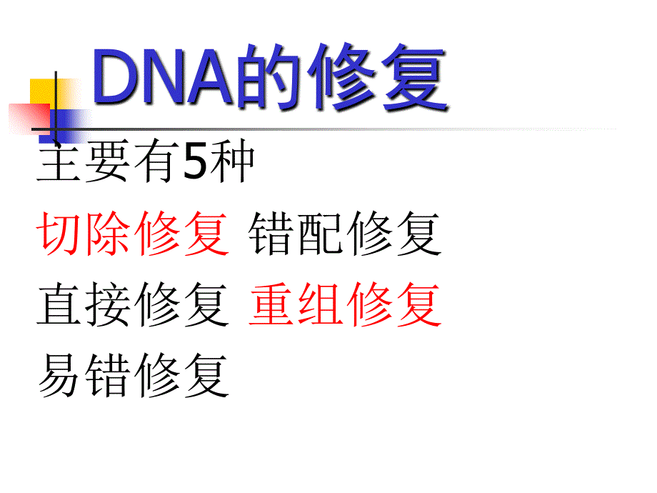 DNA的损伤修复PPT文档资料_第3页