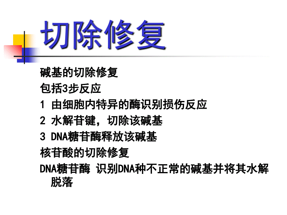 DNA的损伤修复PPT文档资料_第4页