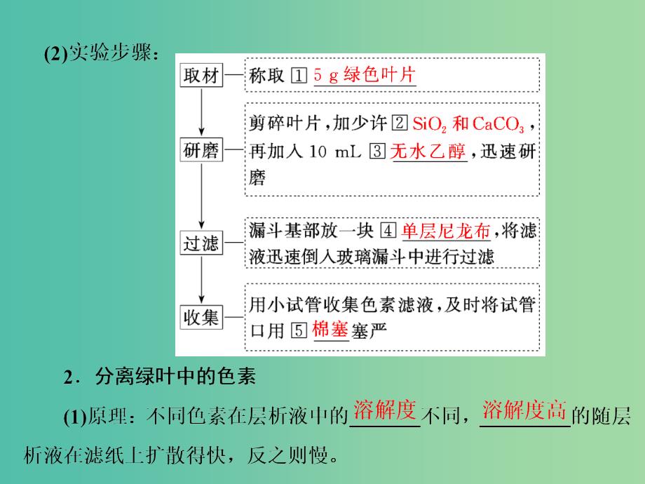 高中生物第5章细胞的能量供应和利用第4节能量之源--光与光合作用第1课时捕获光能的色素和结构课件新人教版.ppt_第3页