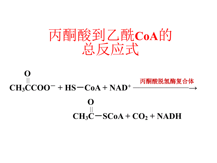 生物化学第23章柠檬酸循环_第4页