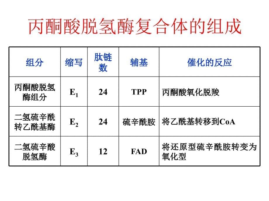 生物化学第23章柠檬酸循环_第5页