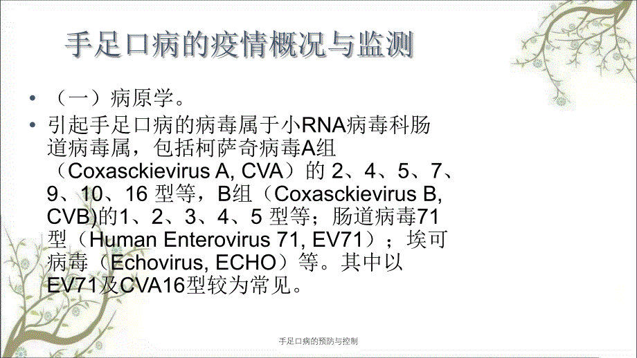 手足口病的预防与控制_第4页