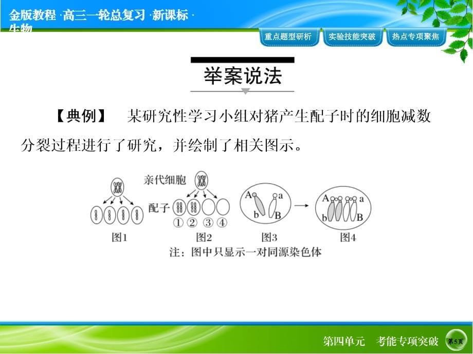 考能专项突破4_第5页