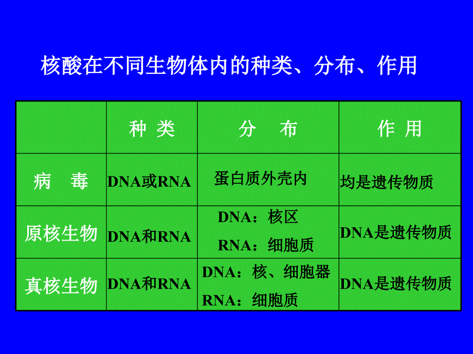 遗传的物质基础_第4页