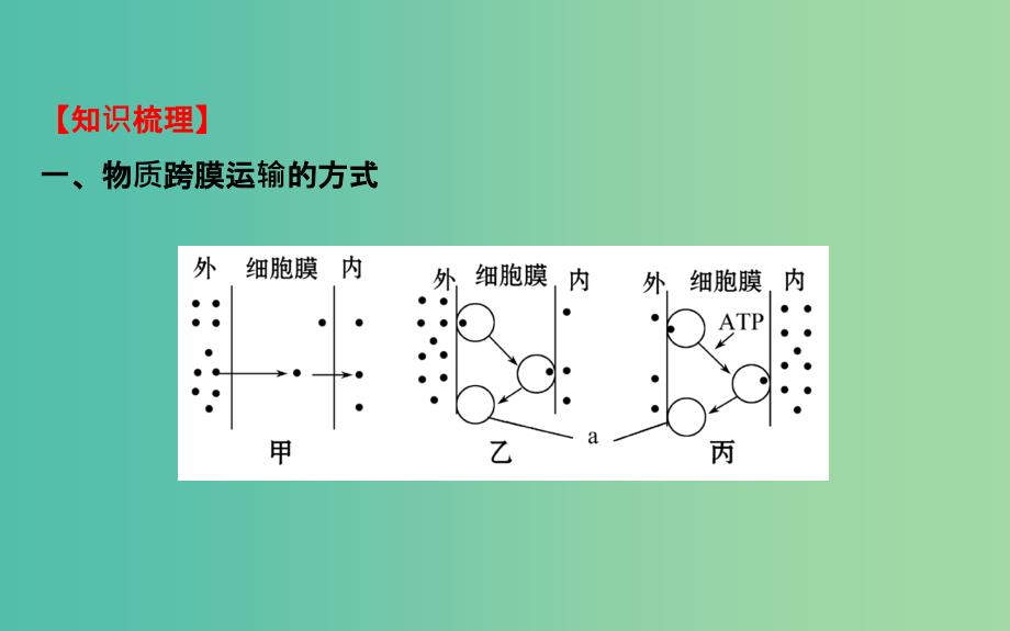 高三生物第一轮复习 第4章 第3节 物质跨膜运输的方式课件 新人教版必修1.ppt_第4页