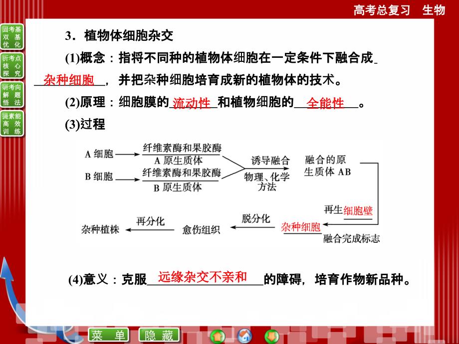 选修专题细胞工程(克隆技术)(精品PPT).ppt_第4页