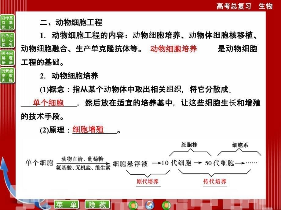 选修专题细胞工程(克隆技术)(精品PPT).ppt_第5页