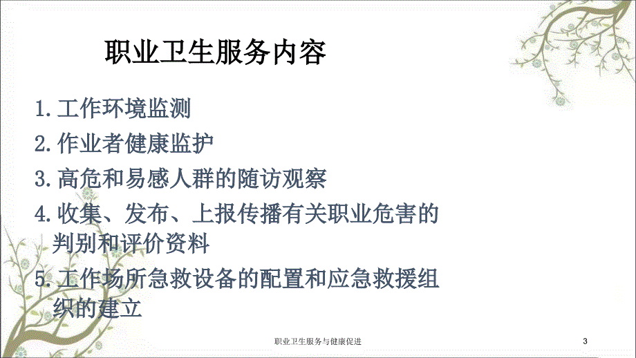 职业卫生服务与健康促进课件_第3页