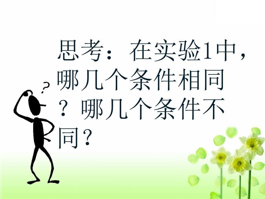 三年级上册科学课件1.6加快溶解教科版共14张PPT1_第5页