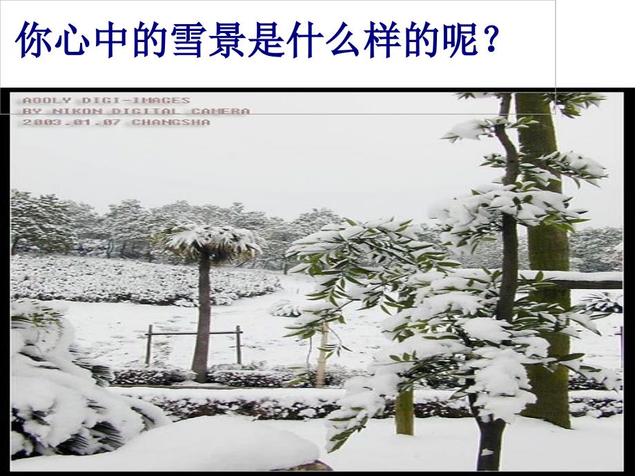 《湖心亭看雪》(上课版)_第2页