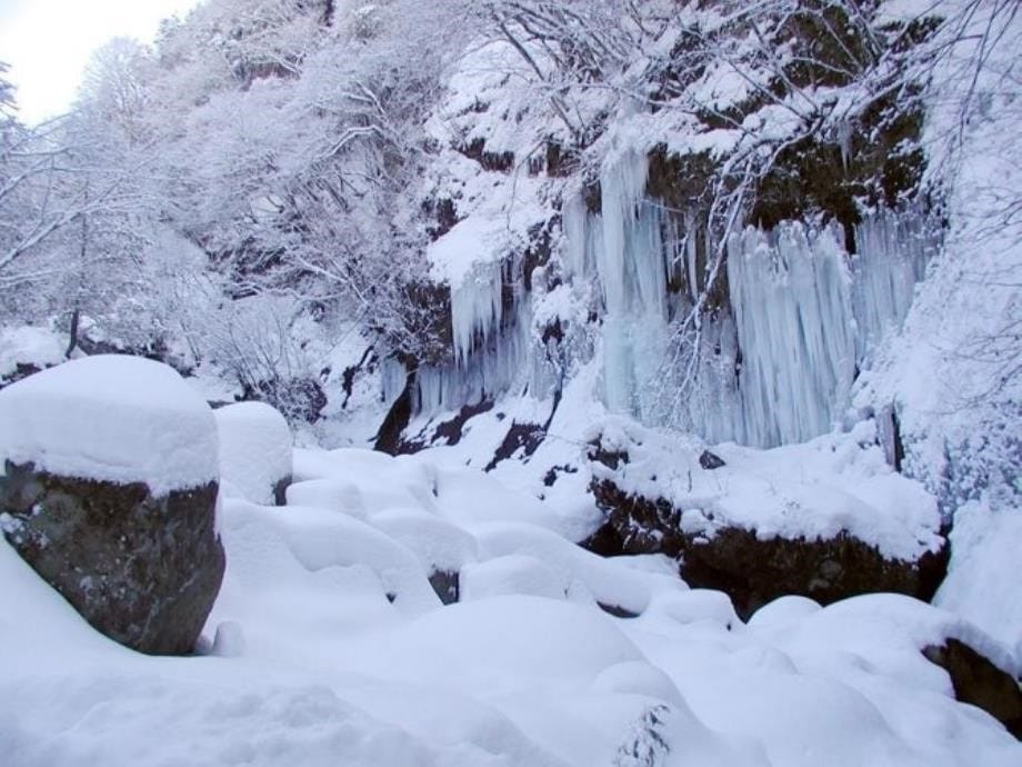 《湖心亭看雪》(上课版)_第5页