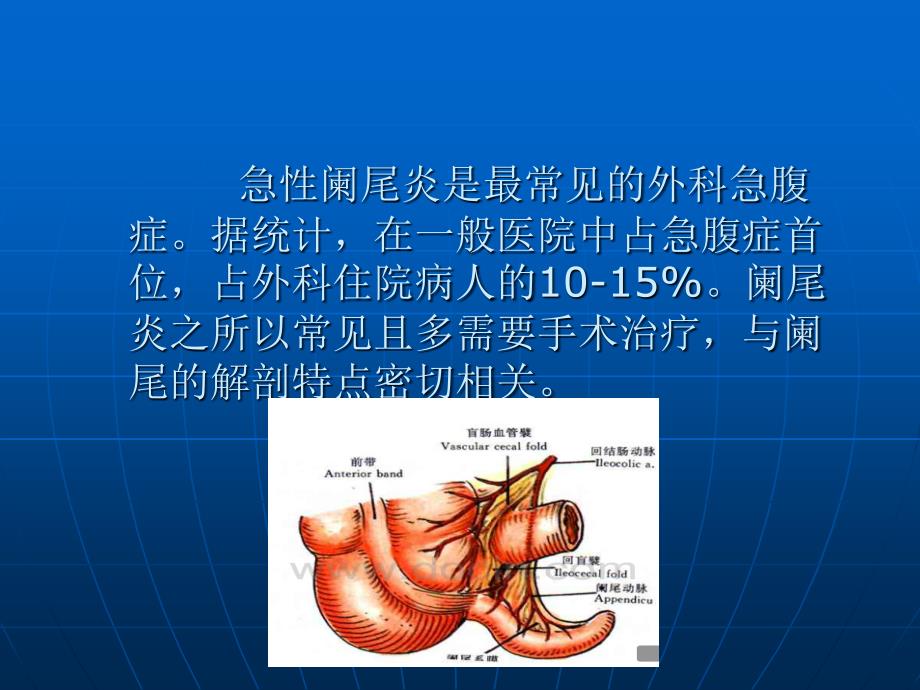 急性阑尾炎的CT诊断_第2页