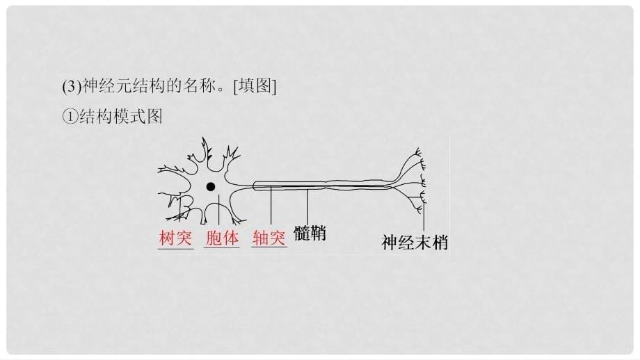 高中生物 第2章 2.2 人体生命活动的调节（第1课时）人脑的高级功能课件 苏教版必修3_第5页