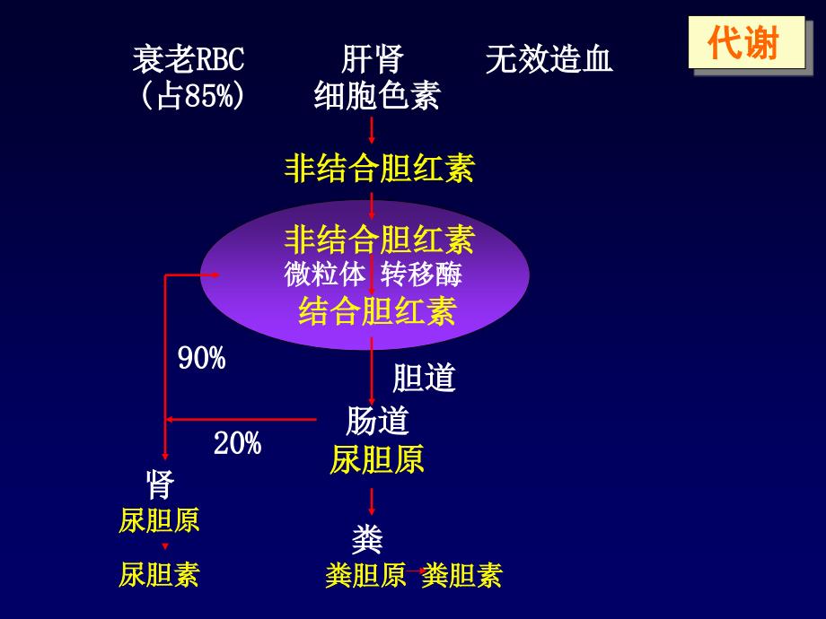 黄疸的鉴别诊断及处理_第4页