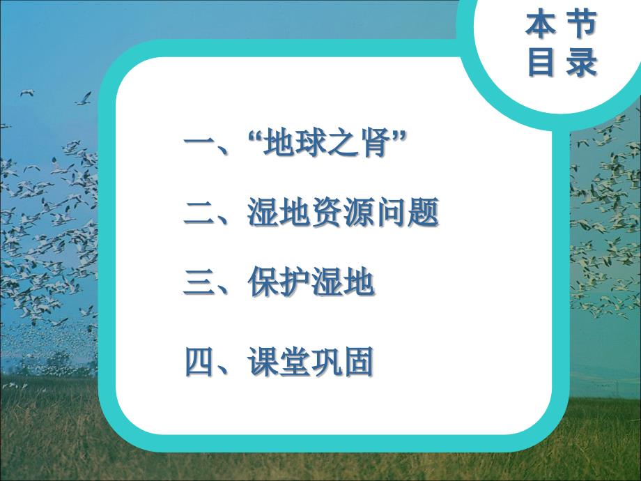 2-2湿地资源的开发与保护_第3页