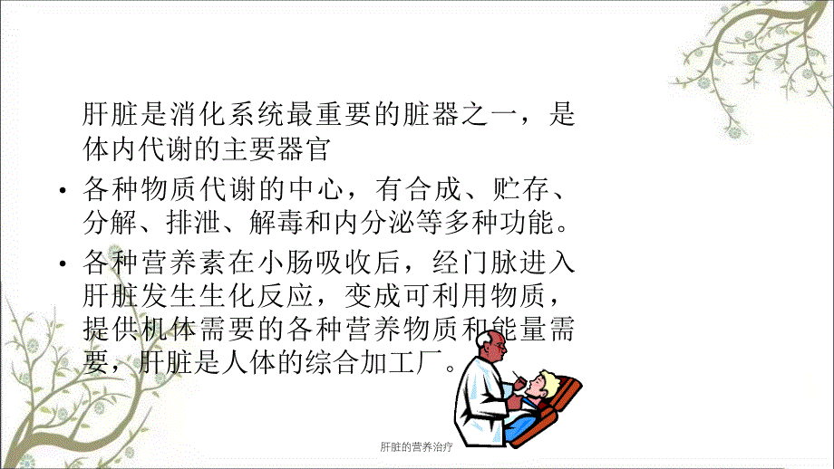 肝脏的营养治疗课件_第2页