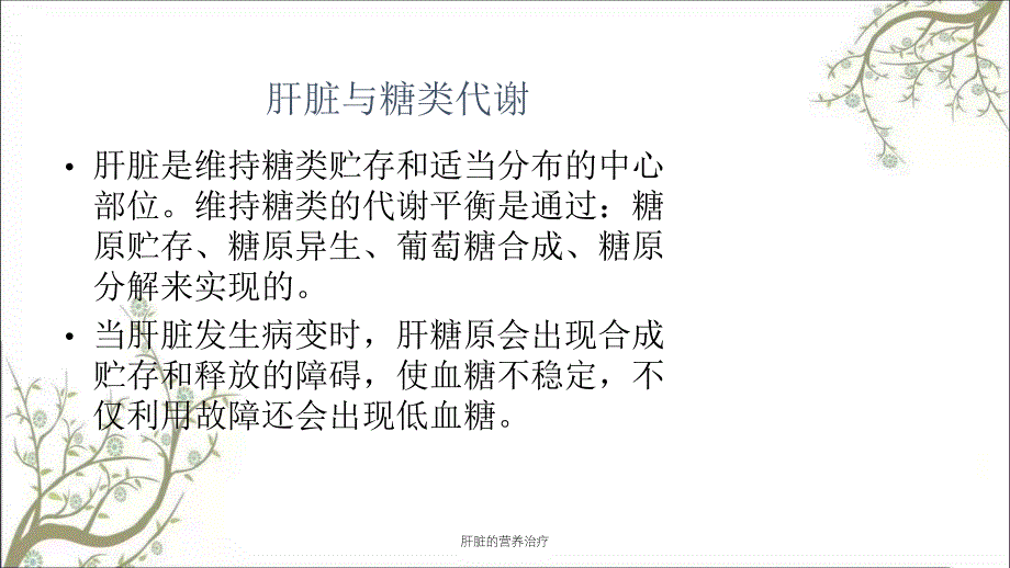 肝脏的营养治疗课件_第3页