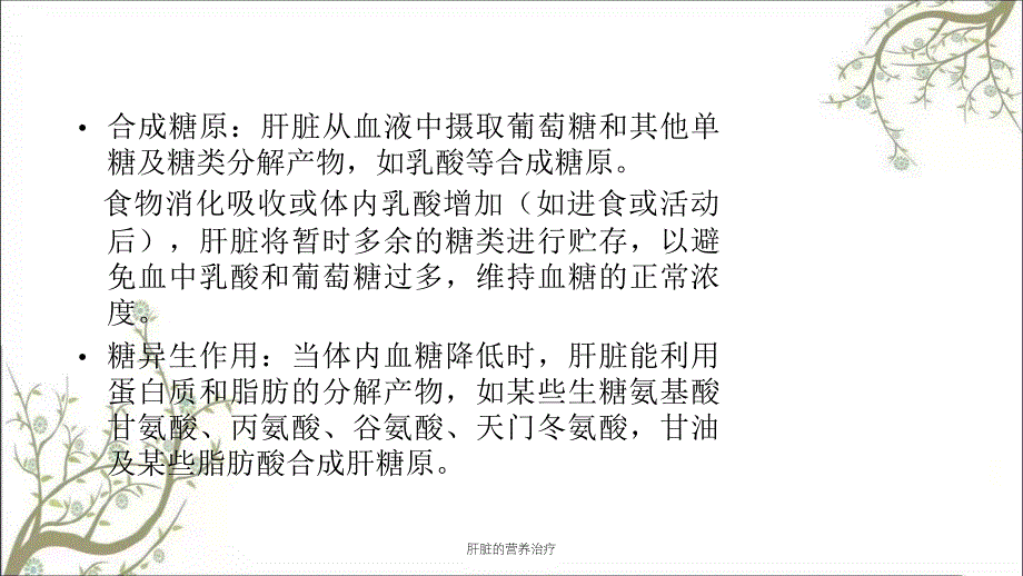 肝脏的营养治疗课件_第4页