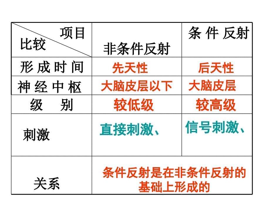 生物必修三课件_第5页