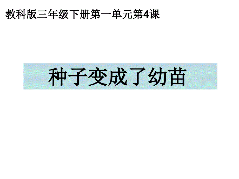 14种子变成了幼苗最新版_第3页