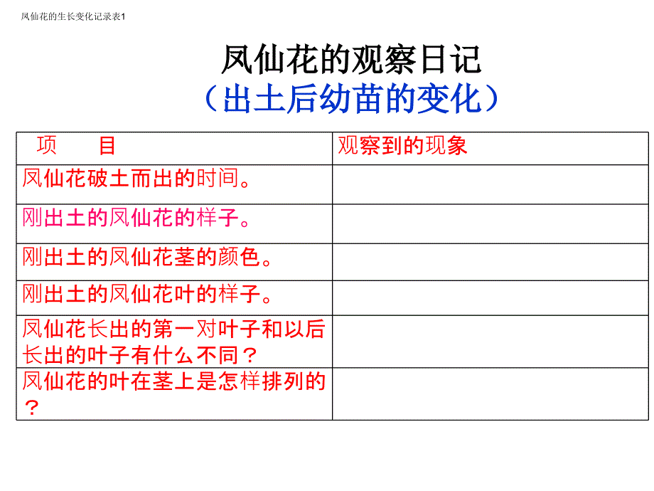 14种子变成了幼苗最新版_第4页