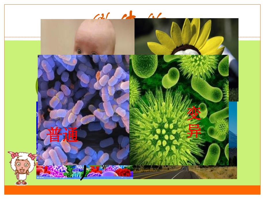 神奇的微生物科普_第4页