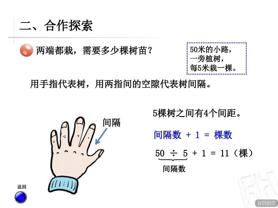 青岛版四年级上册智慧广场《植树问题》_第5页