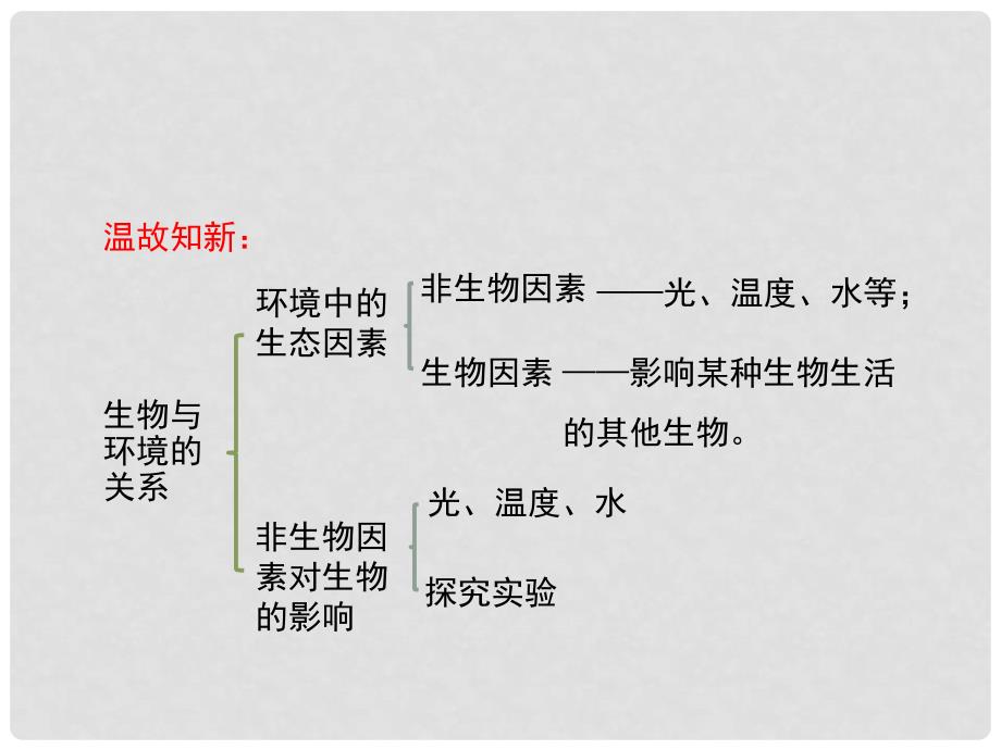 七年级生物上册 1.2.1 生物与环境的关系（第2课时）课件1 （新版）新人教版_第2页