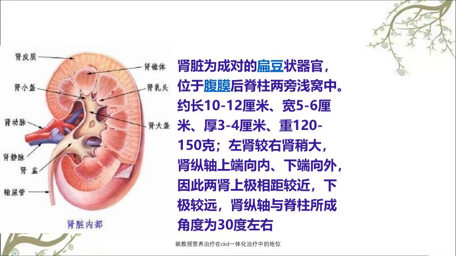 姚教授营养治疗在ckd一体化治疗中的地位_第4页