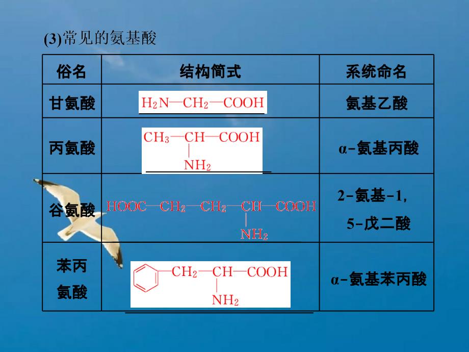 专题5第二单元氨基酸蛋白质核酸ppt课件_第4页