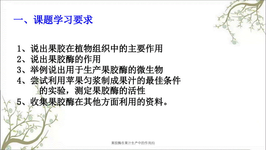 果胶酶在果汁生产中的作用6课件_第2页