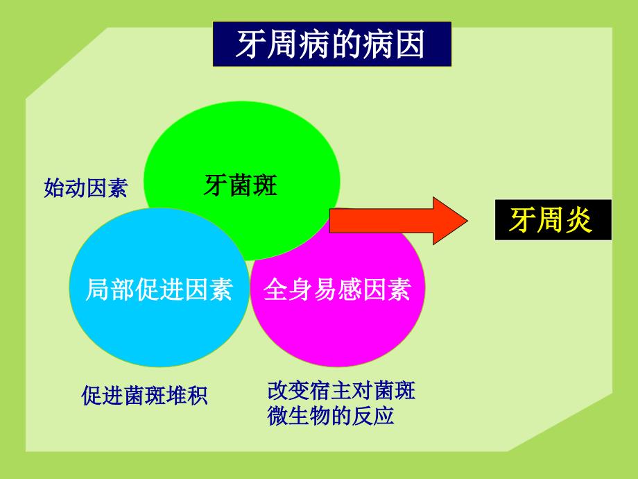 牙周病的全身因素和局部促进因素课件_第1页