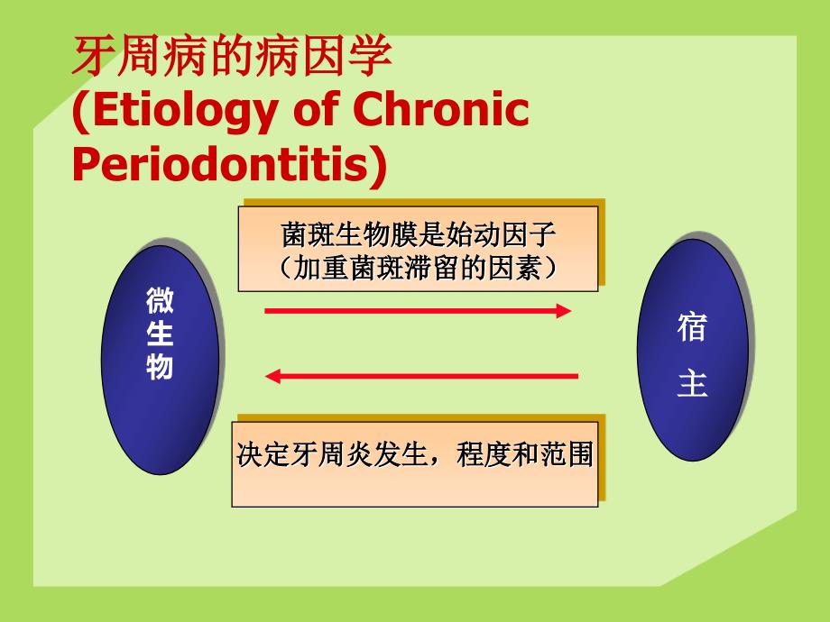 牙周病的全身因素和局部促进因素课件_第2页