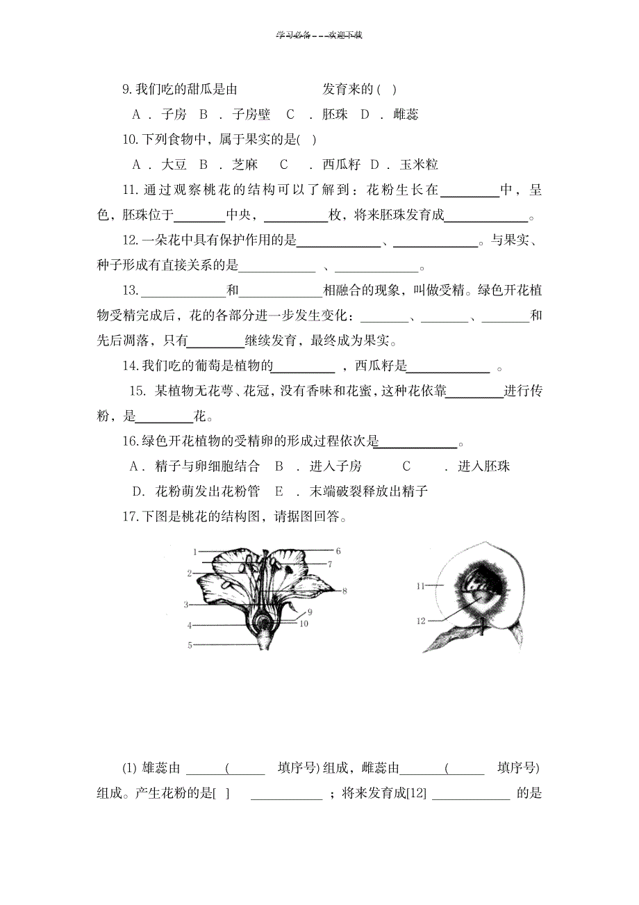 2023年开花和结果精品教案 3_第3页